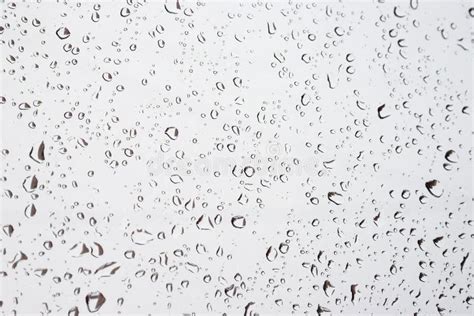 Drops Of Rain On The Window Stock Image Image Of Drop Moisture 73810351