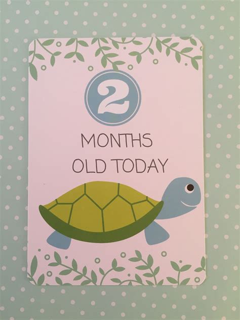 2 Months Old Baby Milestone Cards