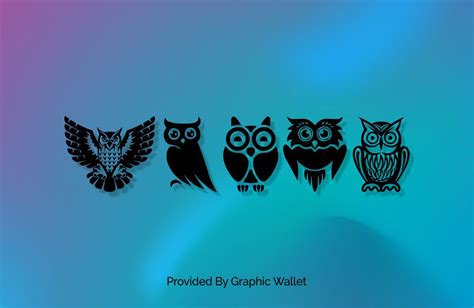 Owl Font Graphicwallet