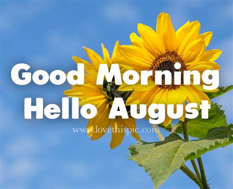 Good Morning Hello August Pictures Photos And Images For Facebook