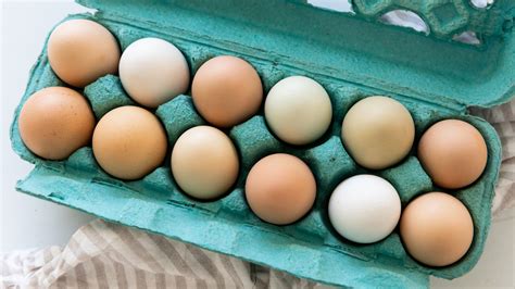 How Much A Dozen Eggs Cost The Year You Were Born
