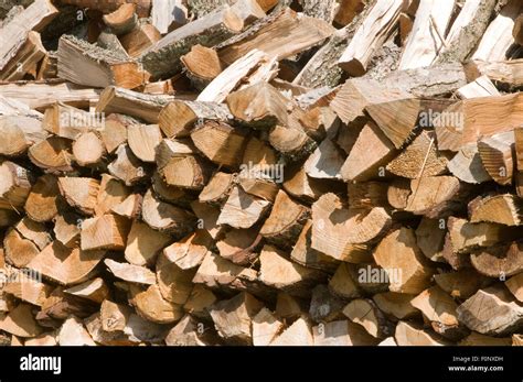 Chopped Fire Wood Firewood Chopping Cutting Stacked Stacking Split