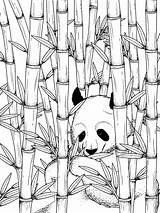 Stockunlimited Bambú sketch template