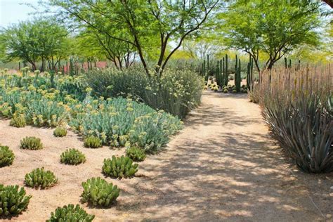 5 Kinds Of Rocks Used For Desert Landscaping Organize With Sandy