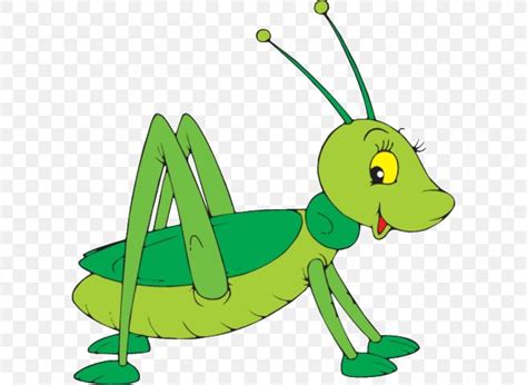 Grasshopper Cartoon Clip Art Png 596x600px The Ant And The