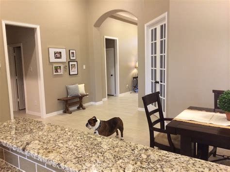 Pin By Ami Baas On Balanced Beige Sw 7037 By Sherwin Williams Paint