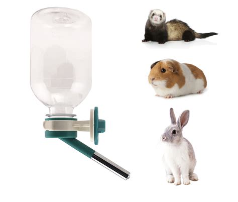 Buy Choco Nose Patented No Drip Water Bottlefeeder For Guinea Pigs