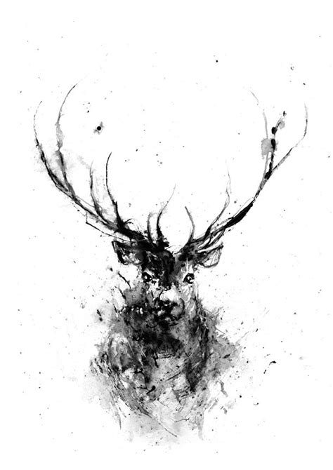 Deer Deer Head Animal Art Print Deer Art Black And White Animal Art