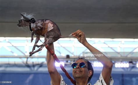Dane Andrew Holds His Dog Rascal During The Worlds Ugliest Dog News