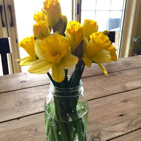 Spring Please Mason Jars And Daffodils Mason Jars Glass Vase