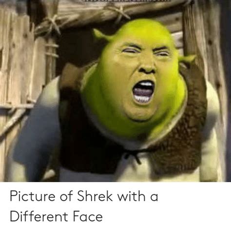 Shrek Long Face Meme