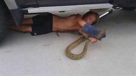 Ohio Boa Constrictor Firefighters Kill Snake ‘stuck To Womans Face
