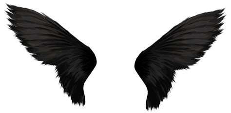 Black Wings Png Transparent Image Pngpix