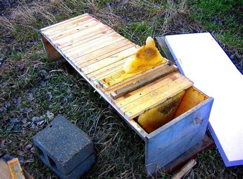 Backyardhive.com demonstrates how to manage a top bar hive. Beekeeping in top bar hives, Michael Bush