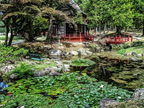 Walking Arizona: Japanese Garden