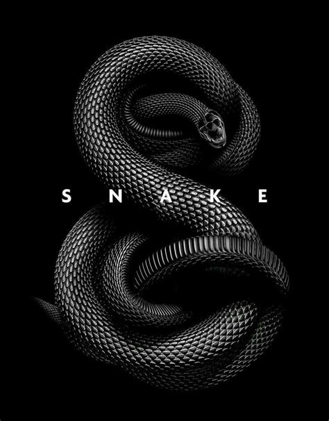 Pin By Любовь Данилова On Black And White Snake Wallpaper Black Mamba