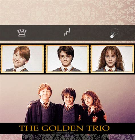 Trio Harry Potter Photo 31717260 Fanpop