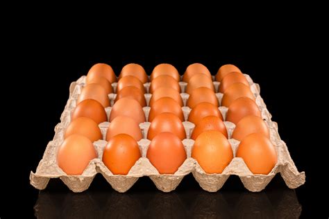 Organic Egg Gabrielles Meat And Poultry