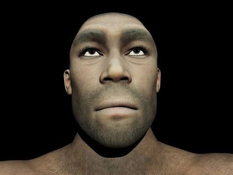 Portrait Of A Male Homo Erectus Prehistoric Ancestor That Lived Around