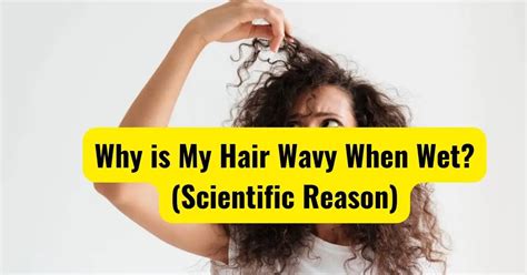 Why Is My Hair Wavy When Wet Scientific Reason Hair Care Addiction