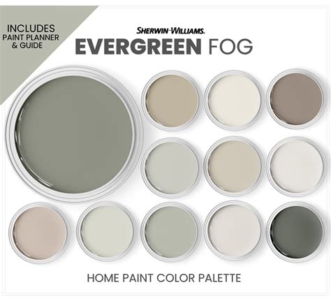 Evergreen Fog Color Palette Sherwin Williams 2022 Color Of Etsy Israel