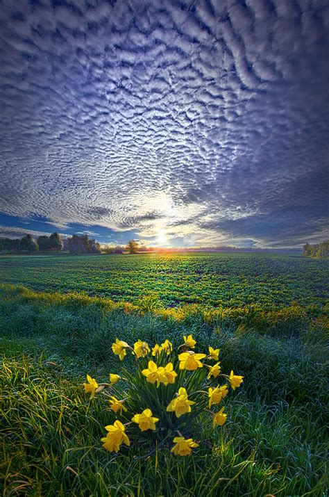 Springing To Life Wisconsin Horizons By Phil Koch Phil Ko Flickr
