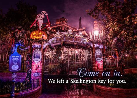 Halloween Time at the Disneyland Resort | Disneyland, Disneyland resort, Disneyland halloween