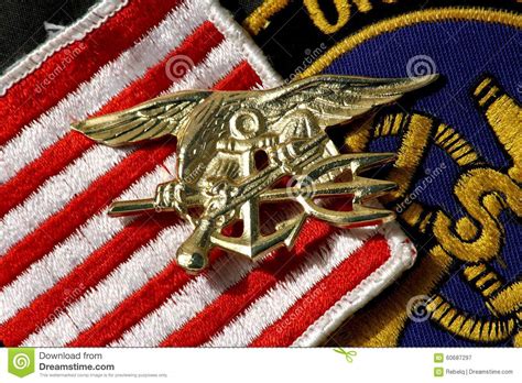 Navy Seals Insignia Trident Stock Image Image Of States Army 60687297