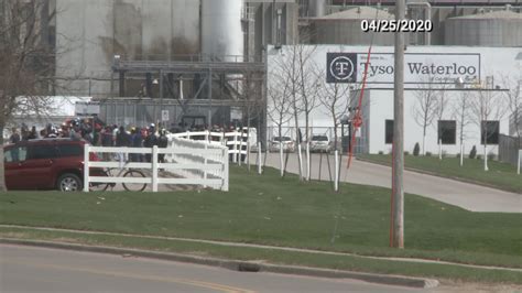 Outbreak At Waterloo Tyson Plant Infected 1031 Workers County Says