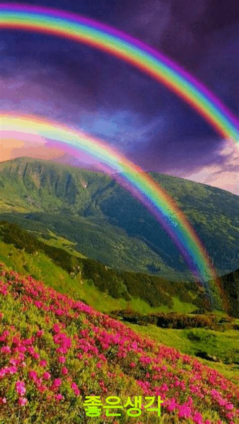 Rainbow Raibow Rainbow Double Rainbows Flowers Mountain Mountains