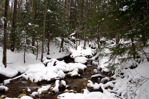 Wonderland Snowy Creek Creeks And Streams Free Nature Pictures By