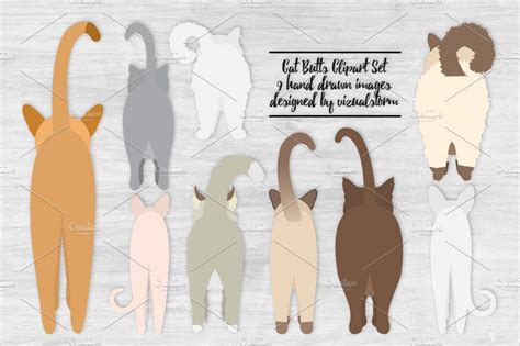 Cat Butts Illustrations ~ Illustrations ~ Creative Market