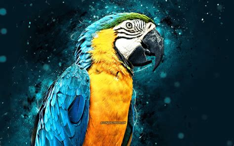 Blue And Yellow Macaw Blue Neon Lights Blue Parrot Ara Ararauna