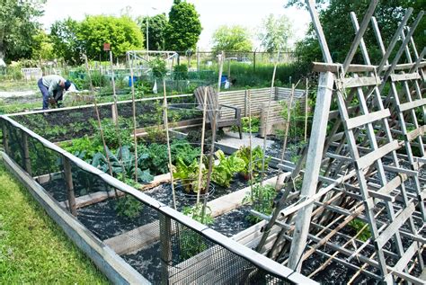 A Wll Structured Community Garden Plot Garden Planning Allotment