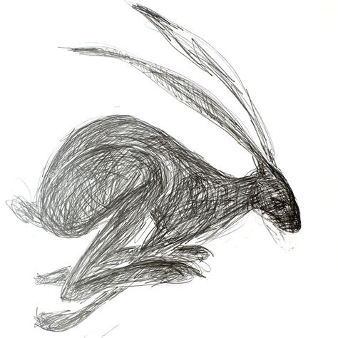 Julieanne Worrall Hood Running Hare Drawings Serena Hall Gallery