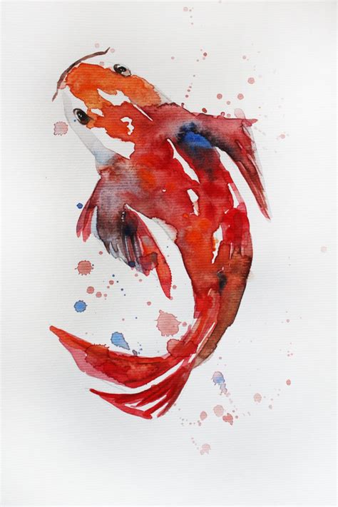 Koi Fish Painting Watercolor At Getdrawings Free Download