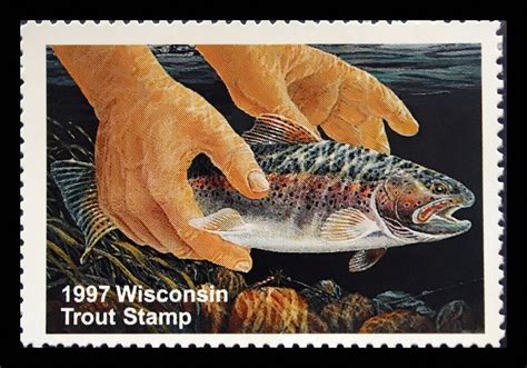 1997 Wisconsin Trout Stamp Fish Art Trout Fish Pet