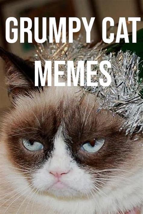 Grumpy Cat Wednesday Meme
