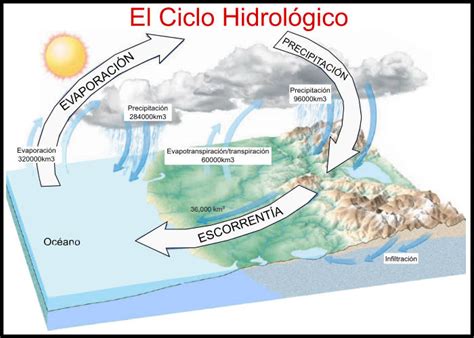 Los Procesos Del Ciclo Hidrológico El Ciclo Hidrológico Es Posible Debido