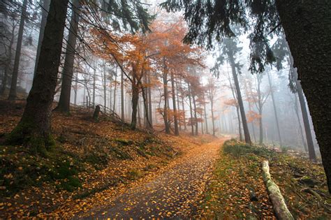 Autumn In German Mountains And Forests Stock Photo Download Image Now