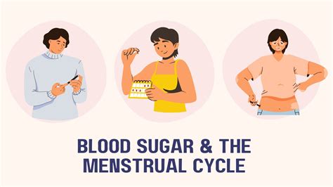 Does The Menstrual Cycle Affect Glucose Levels