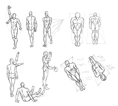 Learning Drawing Principles Andrew Loomis More Figure Drawing