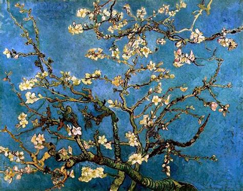 Vincent Van Gogh 1853 1890 The Flower Series