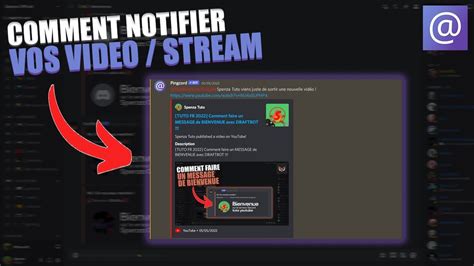 Comment Notifier Vos VidÉos Et Stream Sur Discord Avec Pingcord