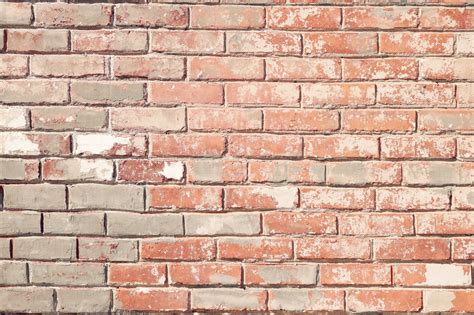 Wall Bricks · Free Stock Photo