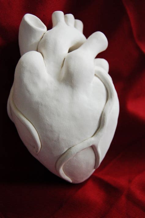39 Beautiful How To Make A 3d Model Of A Heart Out Of Clay Free Mockup