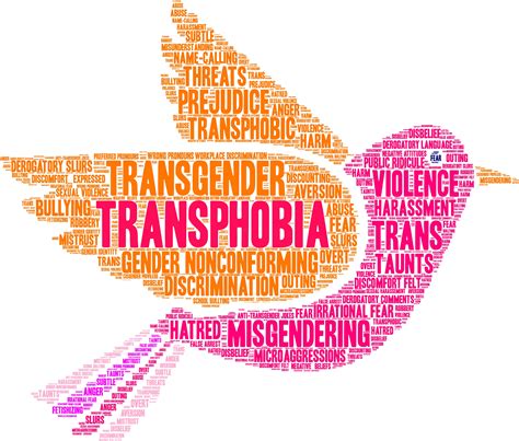What Is Transphobia Lgbtq And All