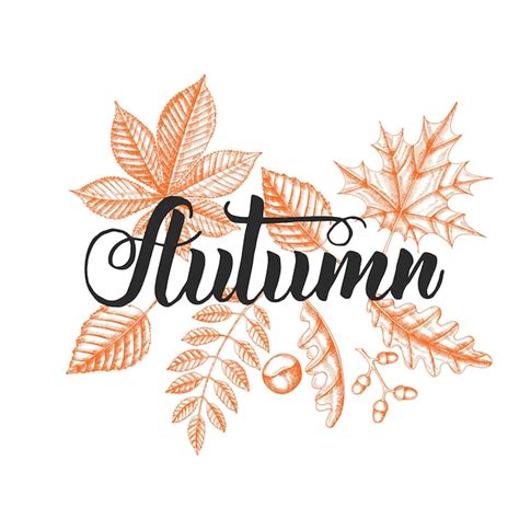 Premium Vector Lettering Calligraphy Phrase Autumn