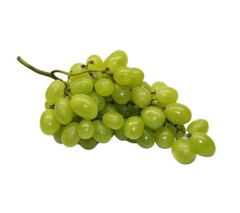 Raisin Vert Sans Pépin Lb Distribution Bo Fruits Inc