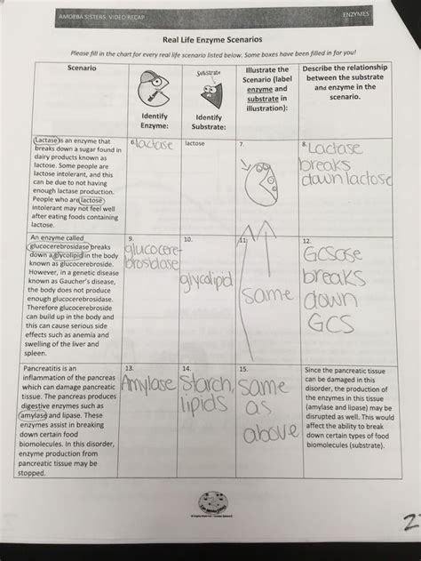 Key more related with pedigree practice worksheet answer key : Amoeba Sisters Worksheet Answers Amoeba Sisters Video ...